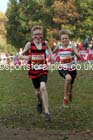 Boys under-13s, National Cross Country Relays, Berry Park, Mansfield. Photo: David T. Hewitson/Sports for All Pics